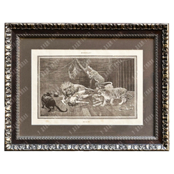 Гравюра «Бунт» по оригиналу Стэнли Беркли. Великобритания, 1880-е гг.