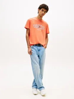 Футболка мужская TOMMY JEANS TJM REG LA WAVING FL