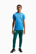 Футболка Nike Brazil 2026 Academy Pro Junior - синий