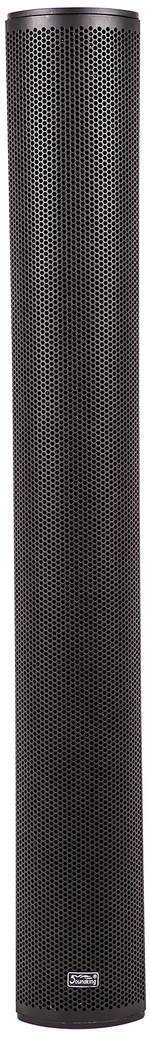 Soundking DLS122