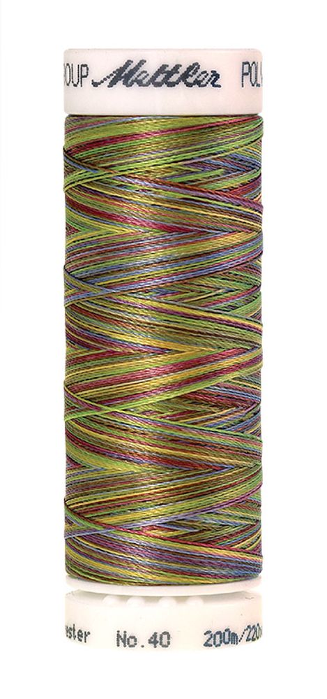 Нить вышивальная Mettler Poly Sheen Multi 40 (200 м), 5 кат. | цв. 9977 Нить вышивальная Mettler Poly Sheen Multi 40 (200 м), 5 кат. | цв. 9977