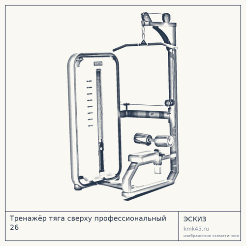 Тренажёр тяга сверху профессиональный 26 — от 150 000 ₽