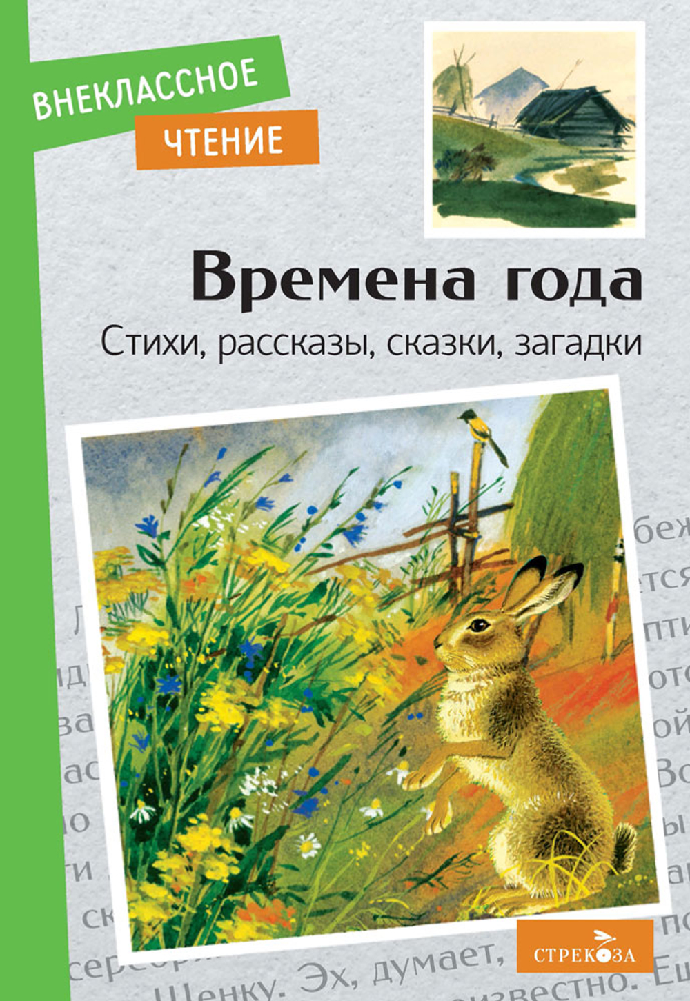 Внеклассное чтение
