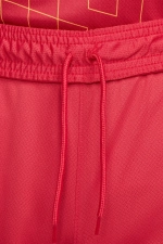 Шорты Nike Liverpool FC 24/25 Home Stadium