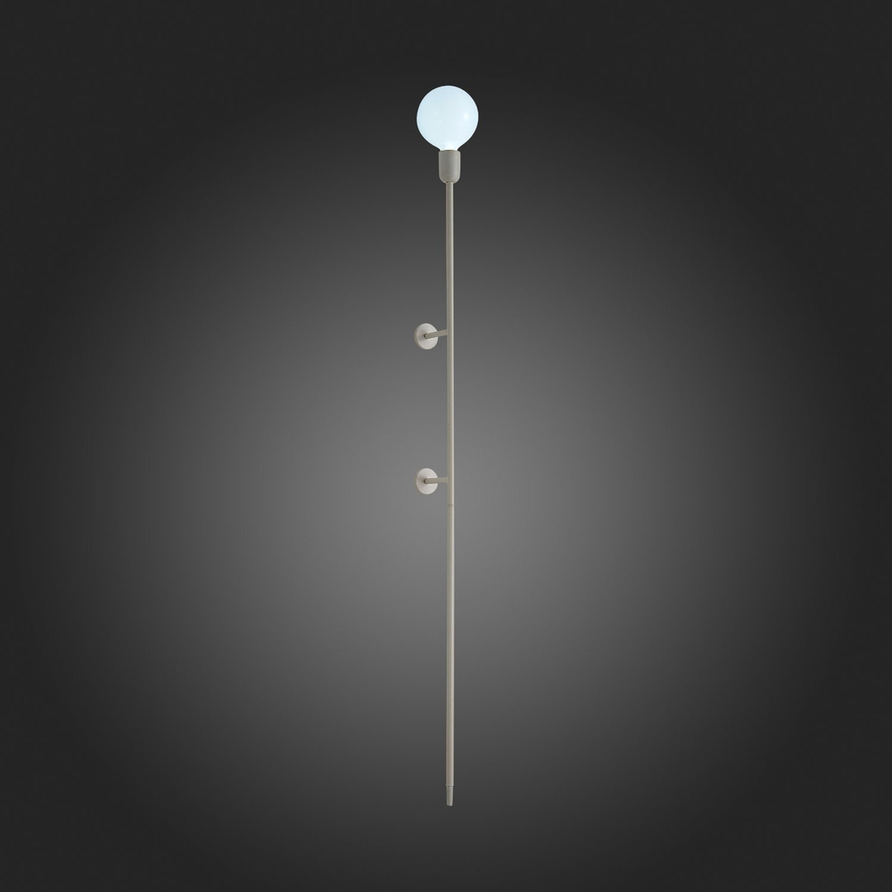 Светильник настенный ST Luce Gante SL1015.401.01