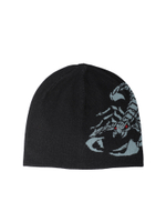 Шапка Bane Reversible Brow Beanie