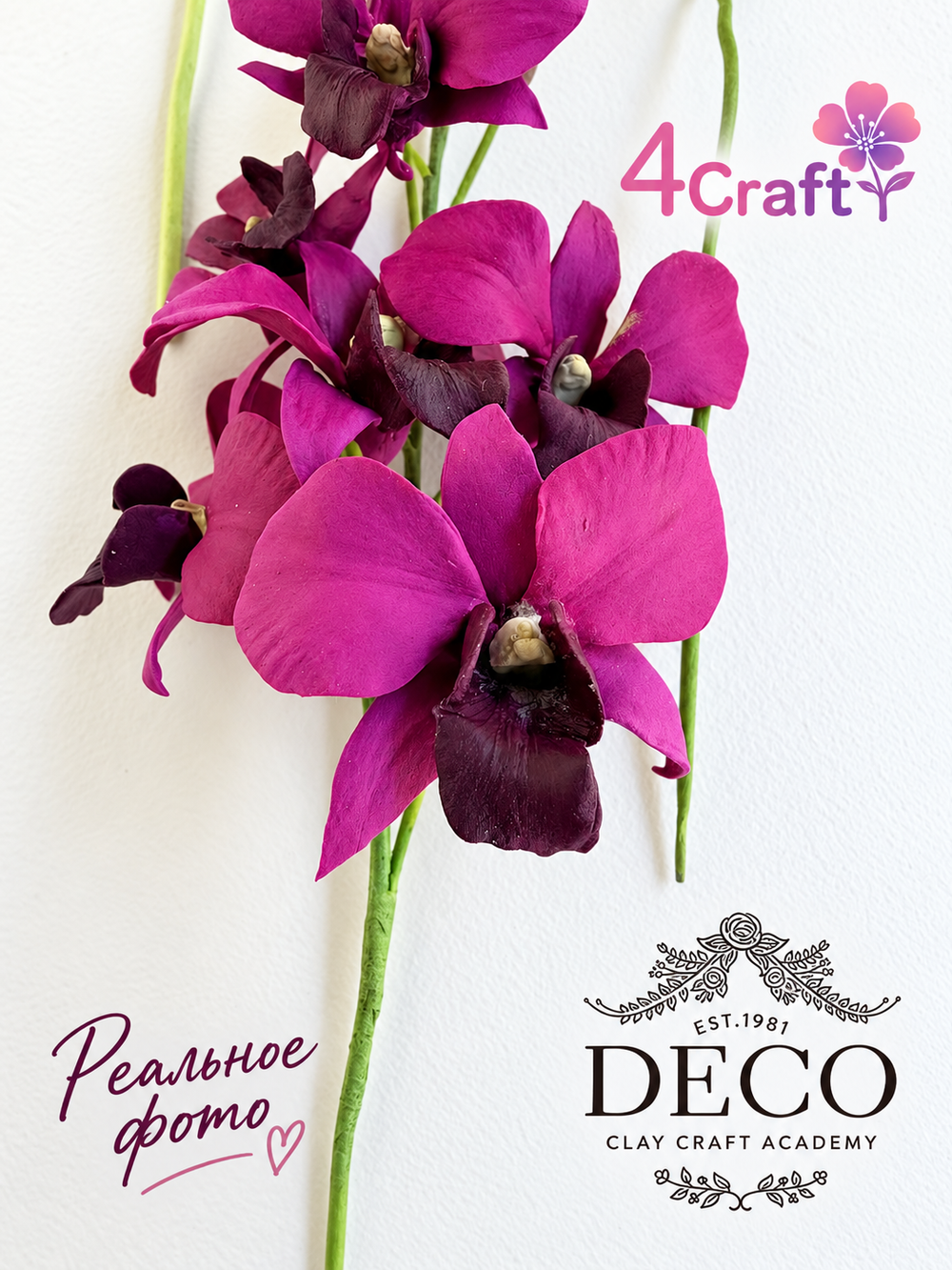 Набор вайнеров для лепки орхидеи Дендробиум, лепестки и середина, от DECO CLAY CRAFT ACADEMY
