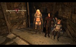 Dragon's Dogma: Dark Arisen PS4 PS5