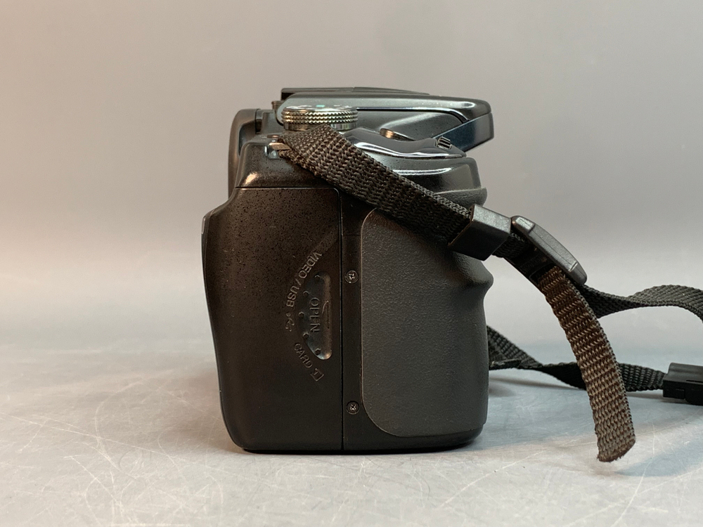 Sony A100
