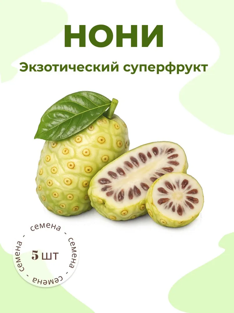 Нони экзотический тропический суперфрукт — семена, 5 шт.