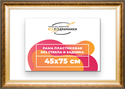 Рама 45x75 для картин и фотографий
