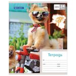 Тетрадь 24 л. BRAUBERG, клетка, обложка картон, MY BEST FRIEND, 403007, 5шт
