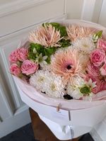 собран сегодня #20