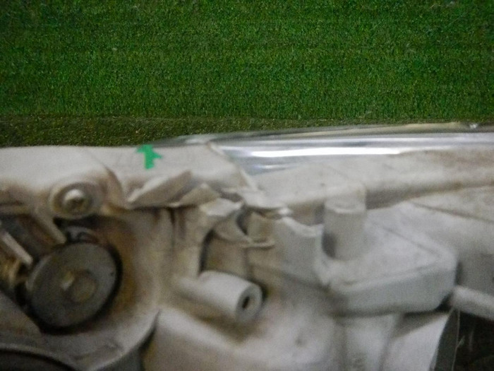 DSCN5590.jpg