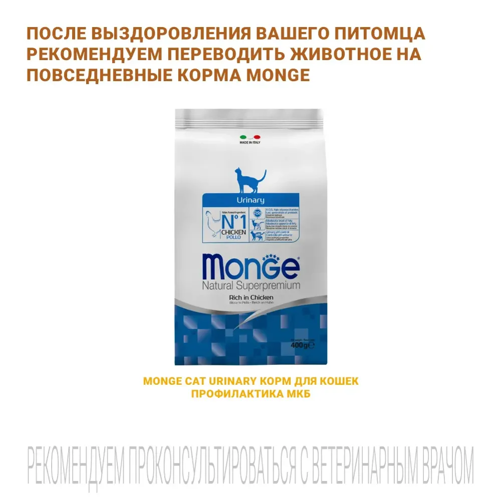 Диетический корм Monge VetSolution Cat Urinary Struvite при заболеваниях мочеполовой системы