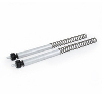 Ohlins Картридж вилки Triumph Speed Twin 1200 (2019 + )