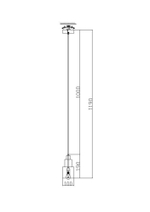 Подвесной светильник Freya Moke FR4006PL-01BS