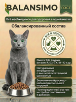 Сухой корм холистик для стерилизованных кошек и кастрированных котов Balansimo Holistic Sterilized Adult Cat лосось с рисом, 2 кг