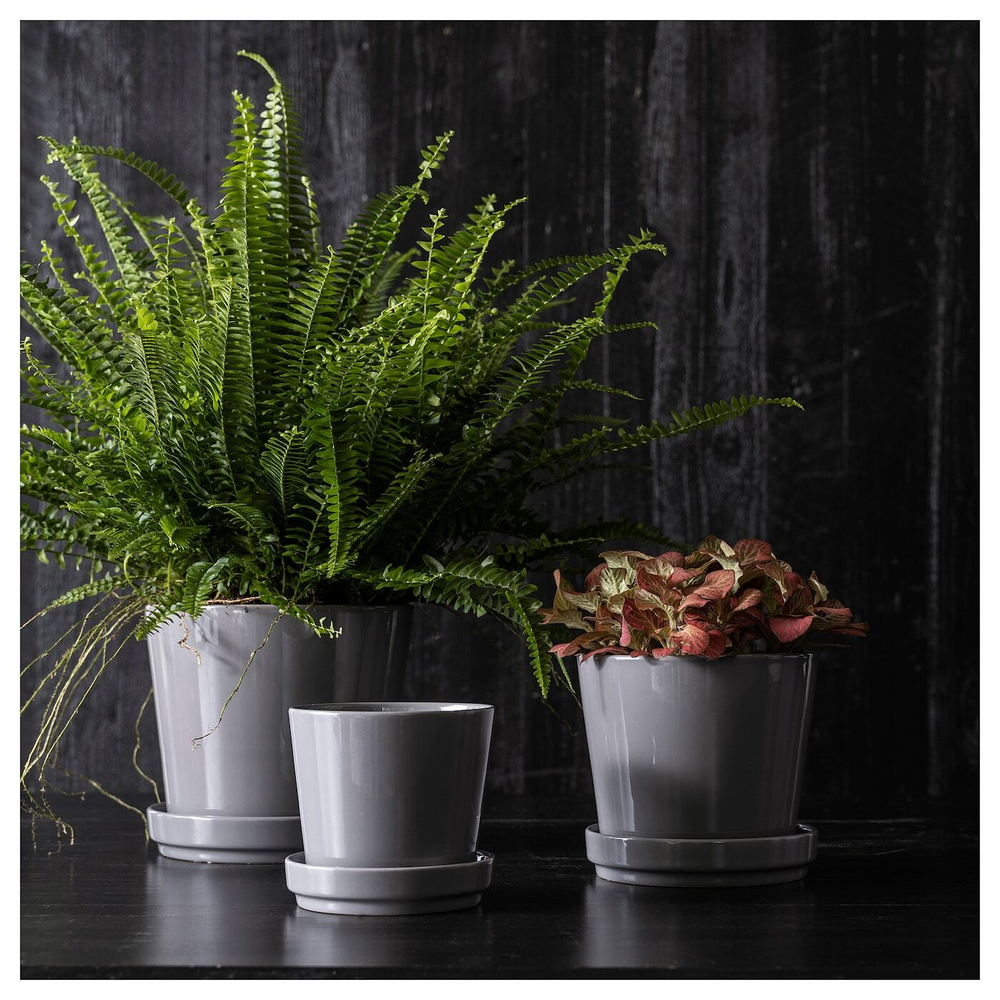 IKEA CITRUSFRUKT  (ИКЕА СИТРУСФРУКТ)  -  Цветочный горшок с подставкой, серый, 9 см