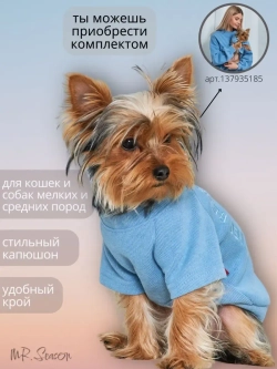 Свитшот для собак CHICA ROOM — Небесно-голубой