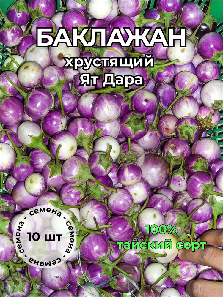 Баклажан тайский хрустящий Ят Дара — семена, 10 шт.