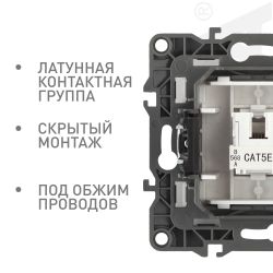 Розетка ЭРА Серия 12 12-3107-12 информационная RJ45 IP20 графит | Эра 12