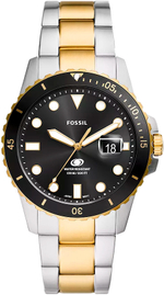 Мужские наручные часы Fossil FS6031