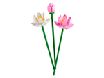 Конструктор Лего Креатор Цветы лотоса | LEGO Creator Lotus Flowers 40647 — 220 деталей (8+)
