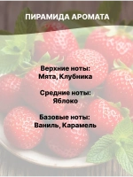 Отдушка Клубника и мята 50 гр