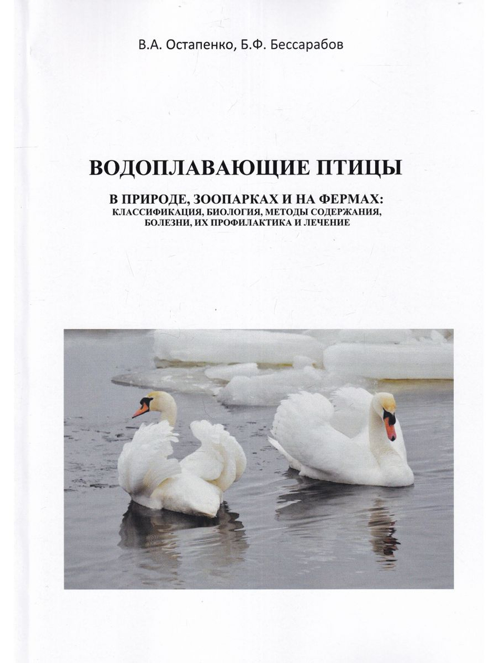 Водоплавающие птицы в природе, зоопарках и на фермах