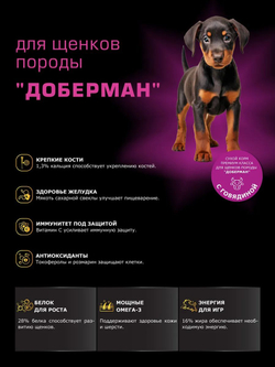 Корм сухой для щенков породы Доберман, с говядиной, 3 кг, QUATTRO