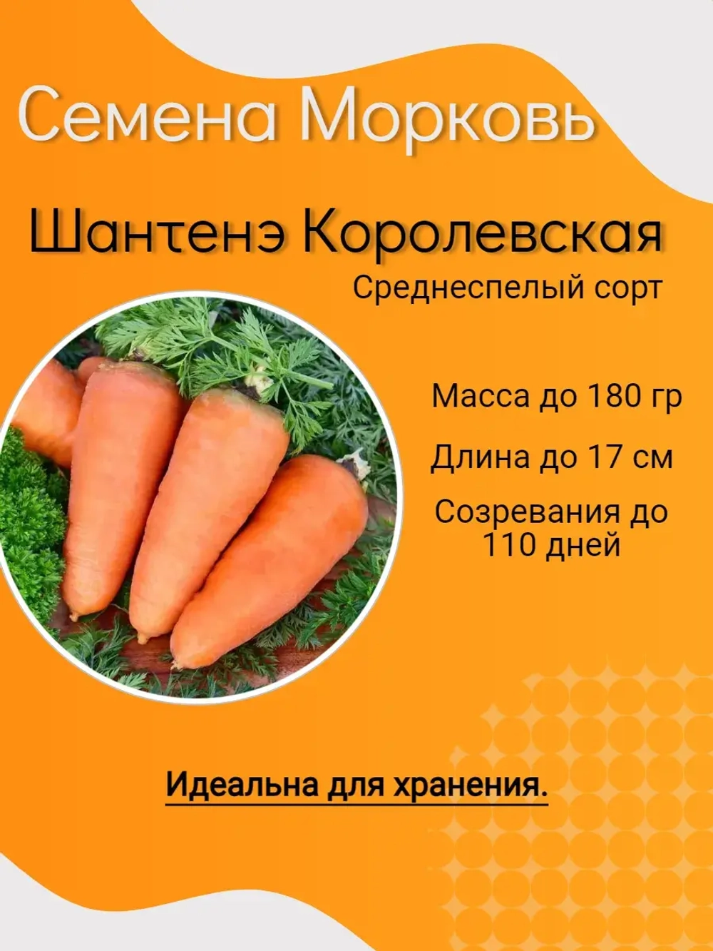 Семена Морковь