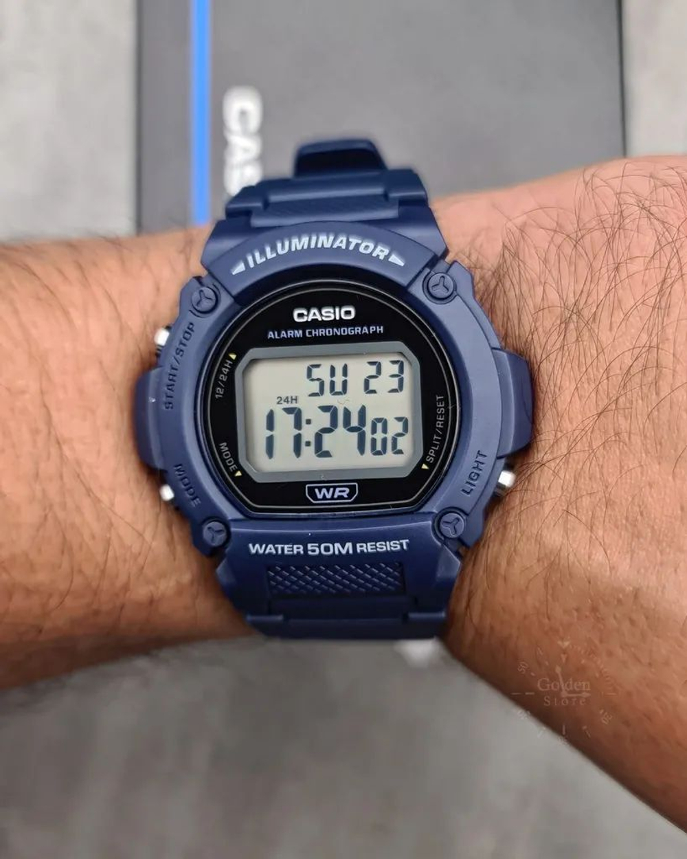 Мужские наручные часы Casio Collection W-219H-2A