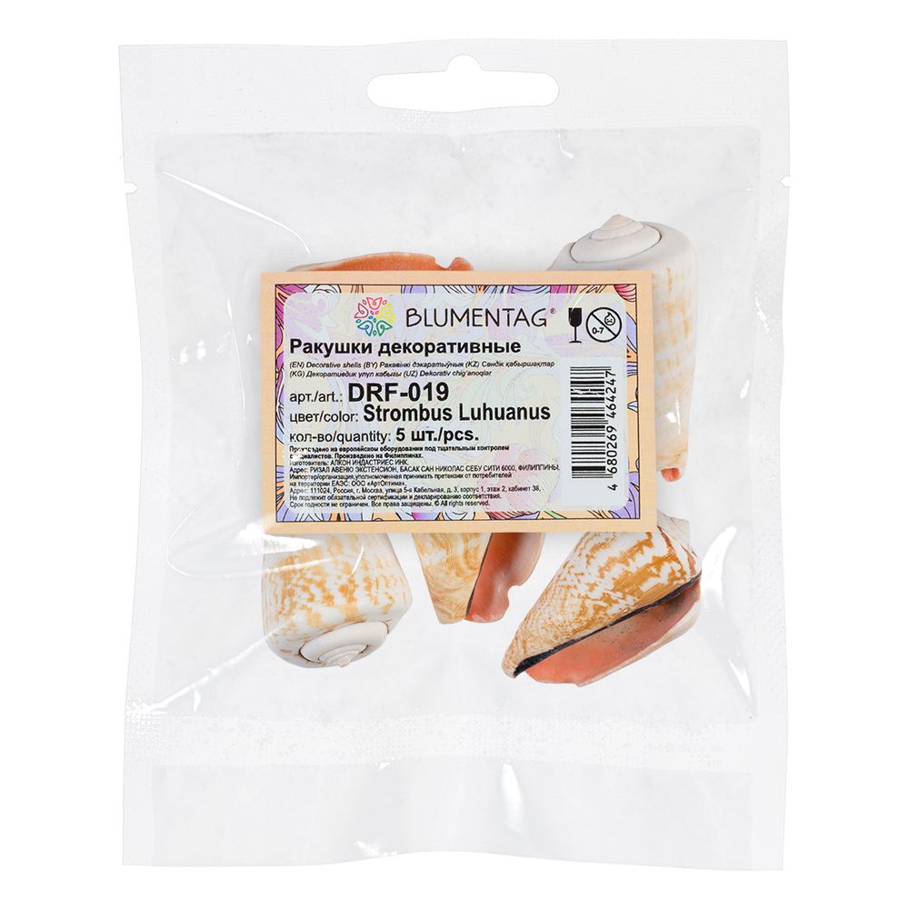 Ракушки декоративные, 5 шт, 5 см, Strombus Luhuanus, Zlatka DRF-019