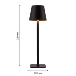 Аккумуляторный светильник F-Promo Pyari 4615-1T