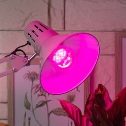 Фитолампа для растений светодиодная ЭРА FITO-10W-RB-E27-K красно-синего спектра 10 Вт Е27 | Фитолампы Е27