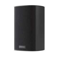 Piega Ace 30 Wireless RX Black