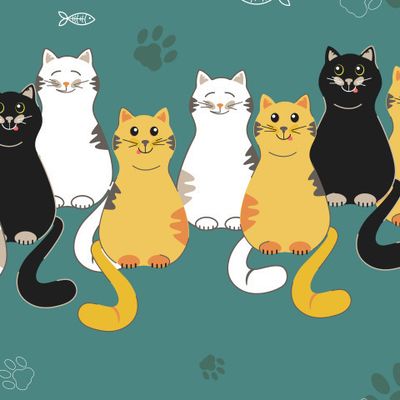 Коты
