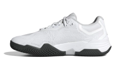 Теннисные кроссовки Adidas Solematch Control 2 M