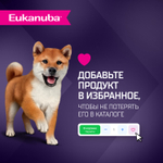 Сухой корм Eukanuba Puppy для щенков мелких и средних пород до 12 месяцев с ягненком 800 г