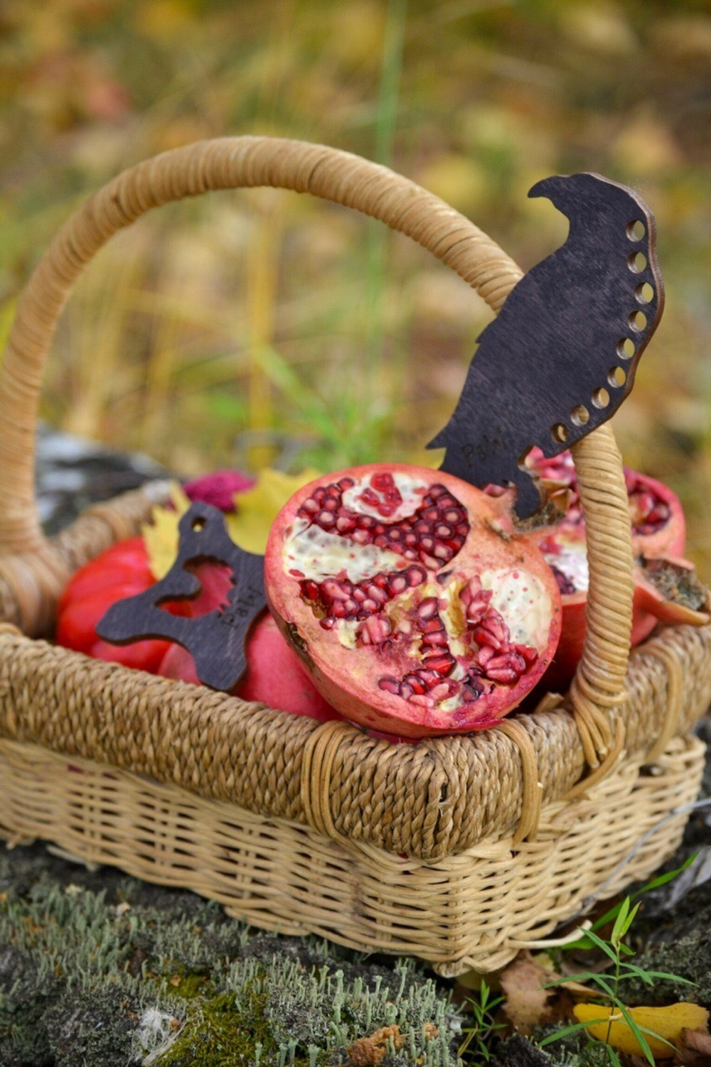 Органайзер "Wise Raven", черный