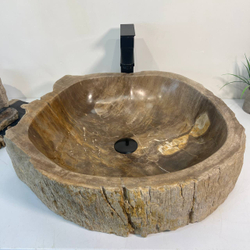 Раковина из окаменелого дерева OD-66956 56x50x16 из натурального камня