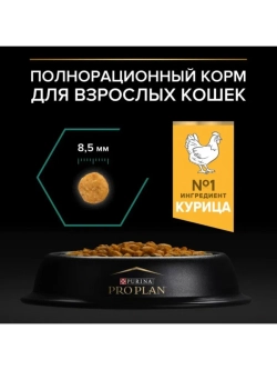Корм для кошек Курица 1,5кг