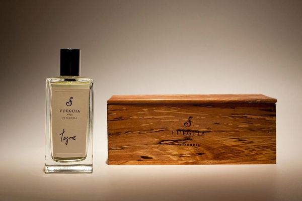 Fueguia 1833 Tagore