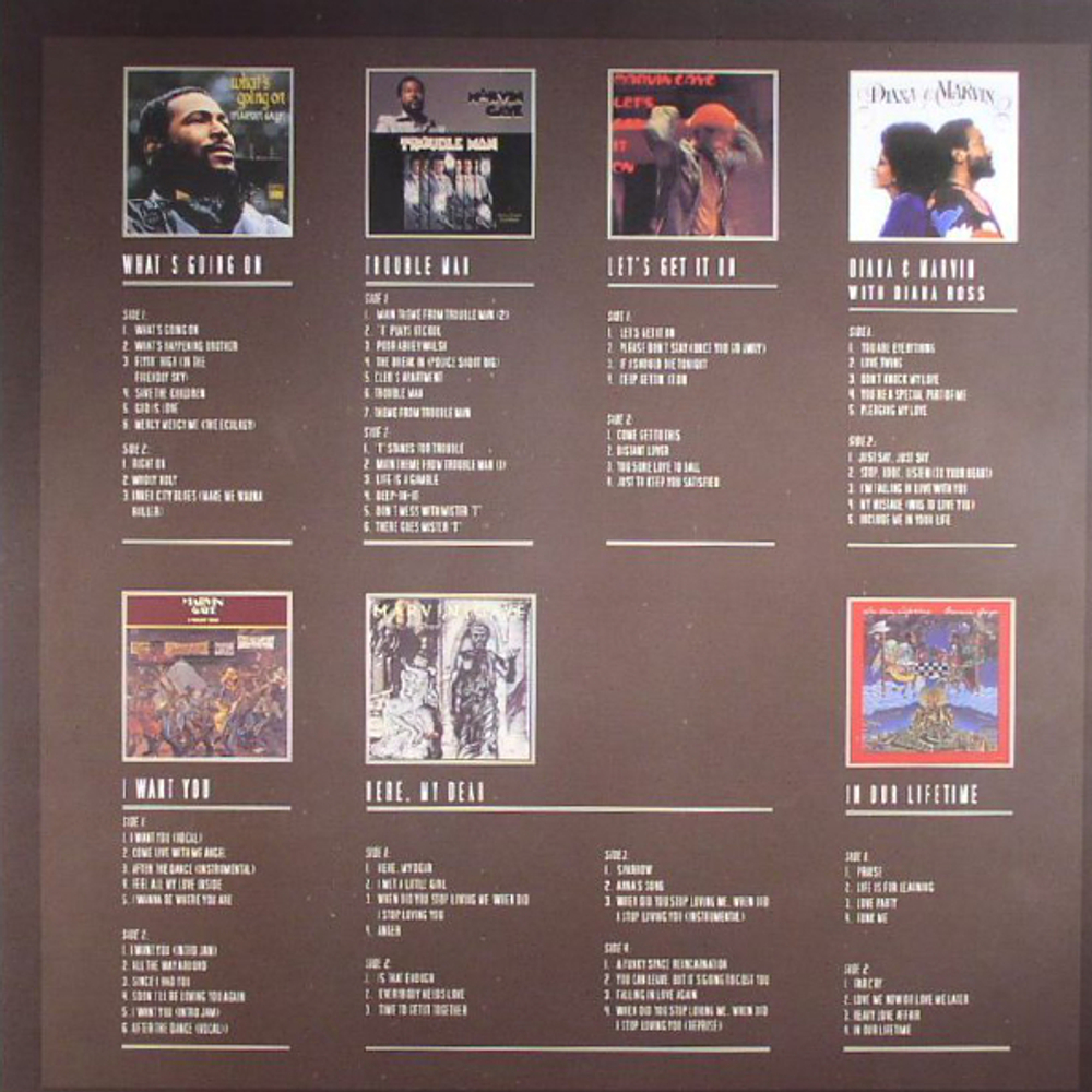 Marvin Gaye / Volume Three 1971-1981 (8LP)