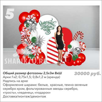 Фотозона Новый год 005