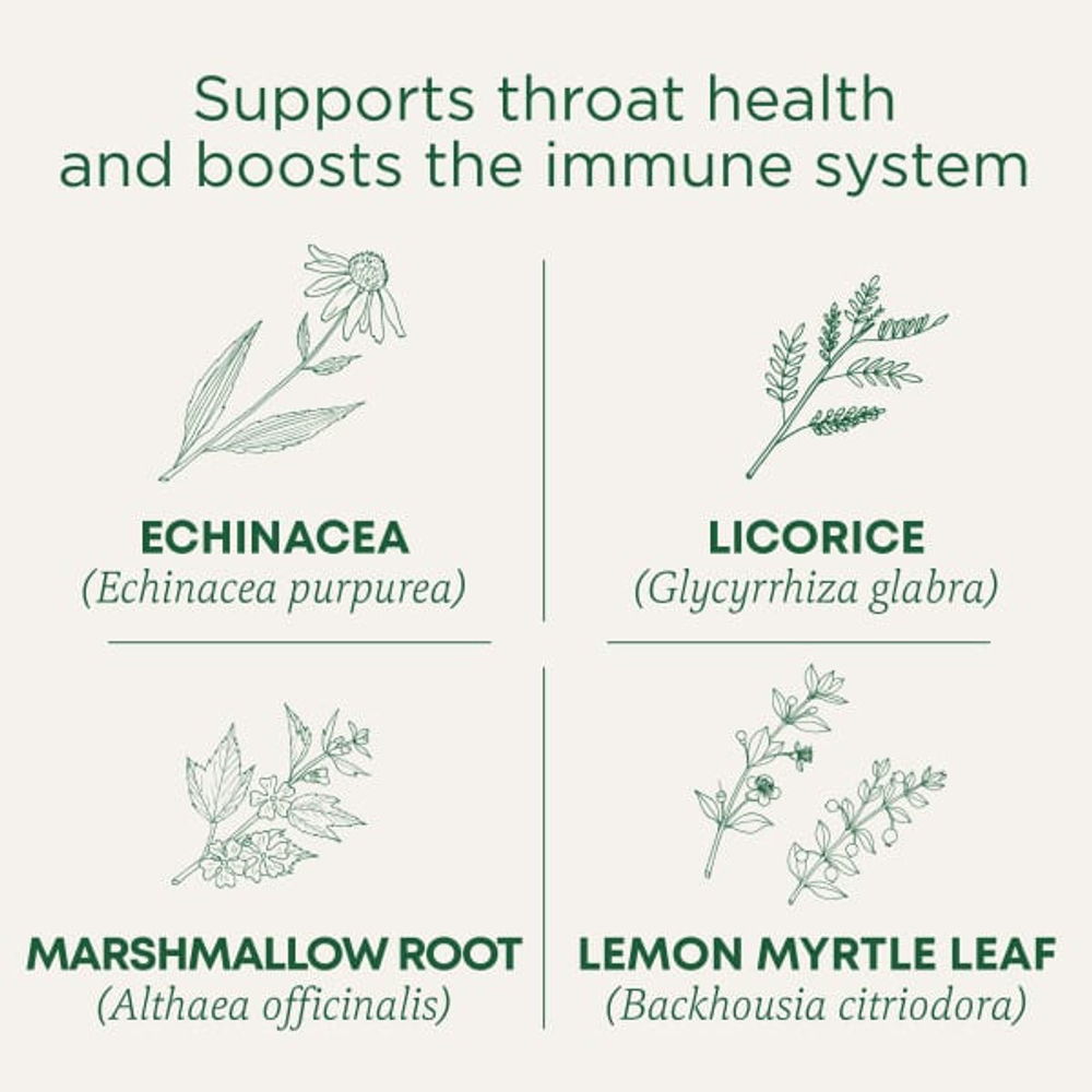 Traditional Medicinals, Organic Throat Cover®, лимон и эхинацея, без кофеина, 16 чайных пакетиков, 32 г (1,13 унции)