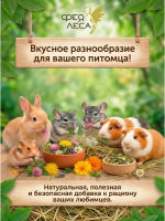 Василёк луговой цветы-корзинки для свечей, ритуалов и магии