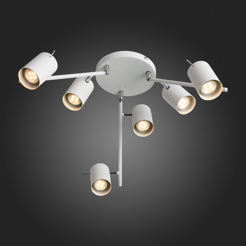 Светильник потолочный ST Luce SL597.502.06