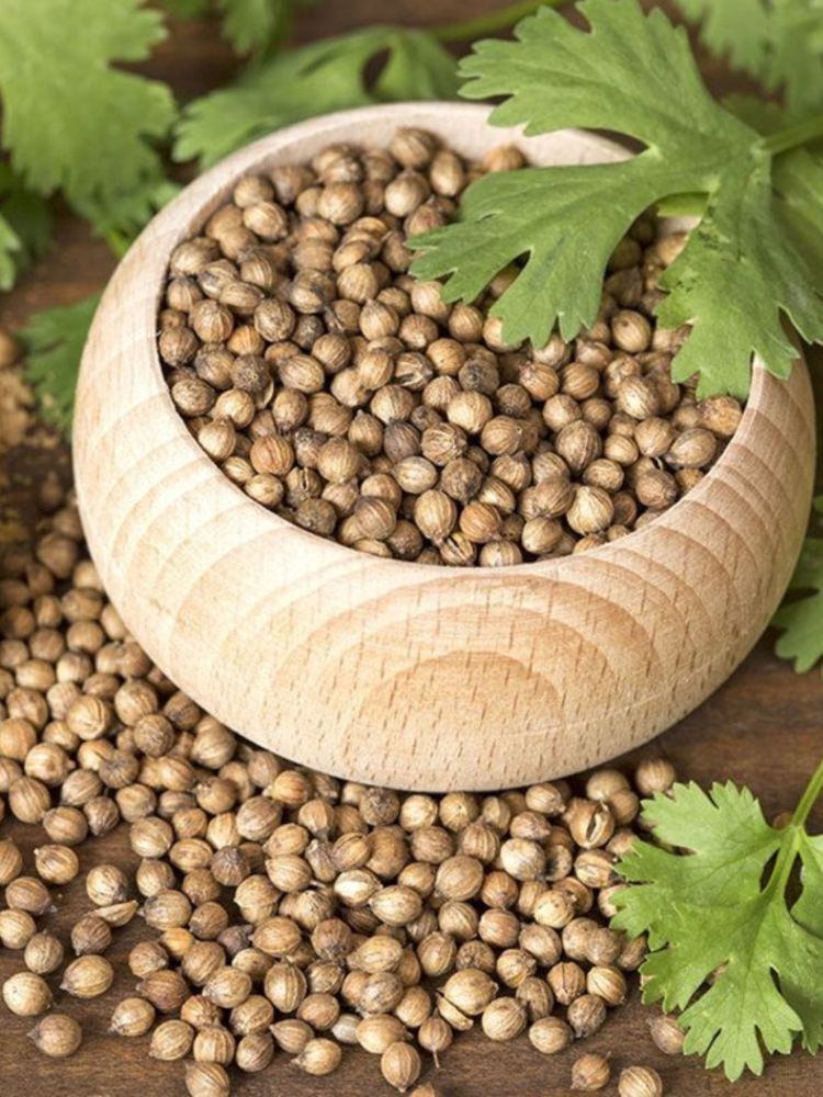 Кориандр Bharat Bazaar Coriander Seeds 100 г, 2 шт